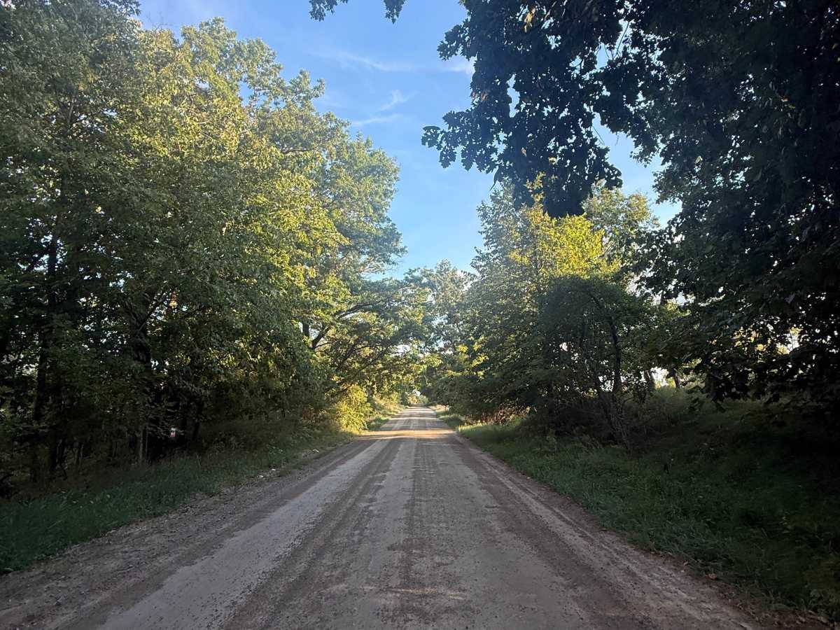 Hinchey Trail trail photo