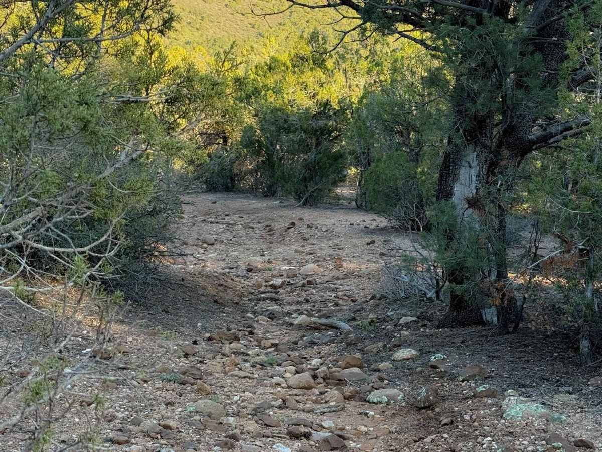 Cottonwood Spring #664  photo 3