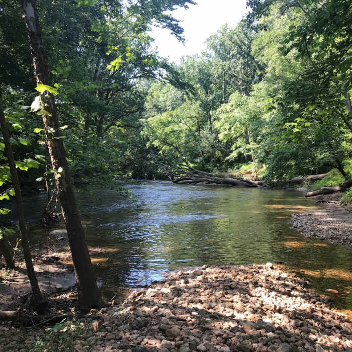Calmer section of the river along the McKeldin Rapids Trail. Near Mckeldin River Crossing South