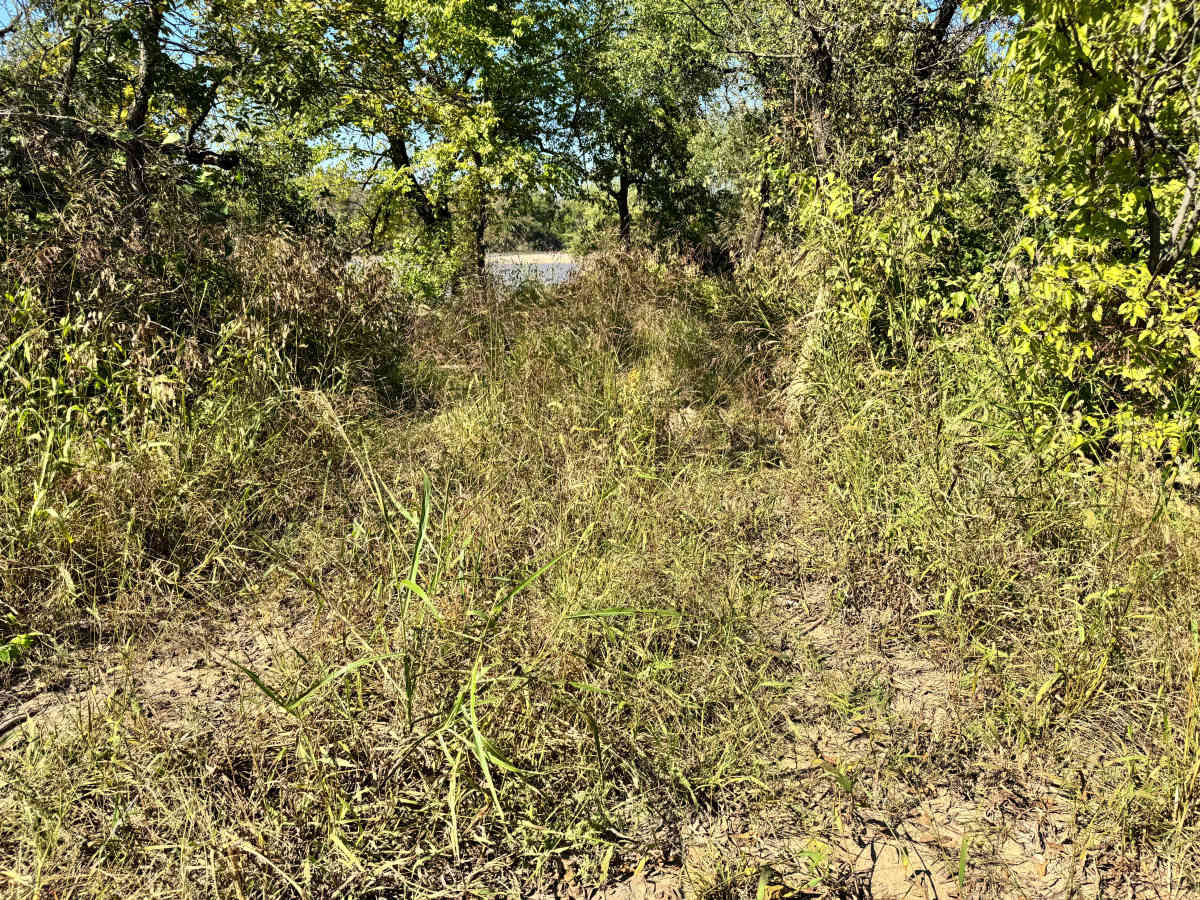 Science And Shenanigans trail photo