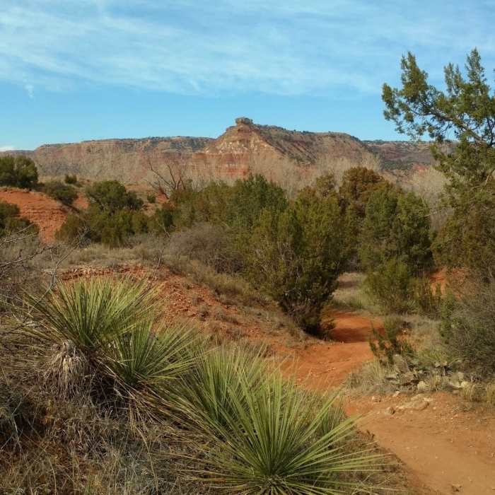 Goodnight Peak is in the distance when looking northwest at the end of Kiowa Trail. Near Kiowa Trail