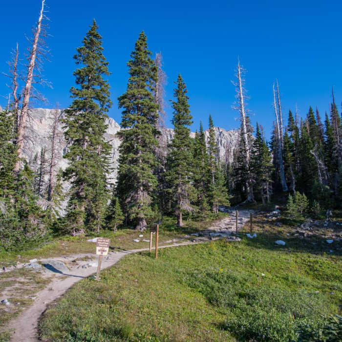 Near Medicine Bow Peak Loop