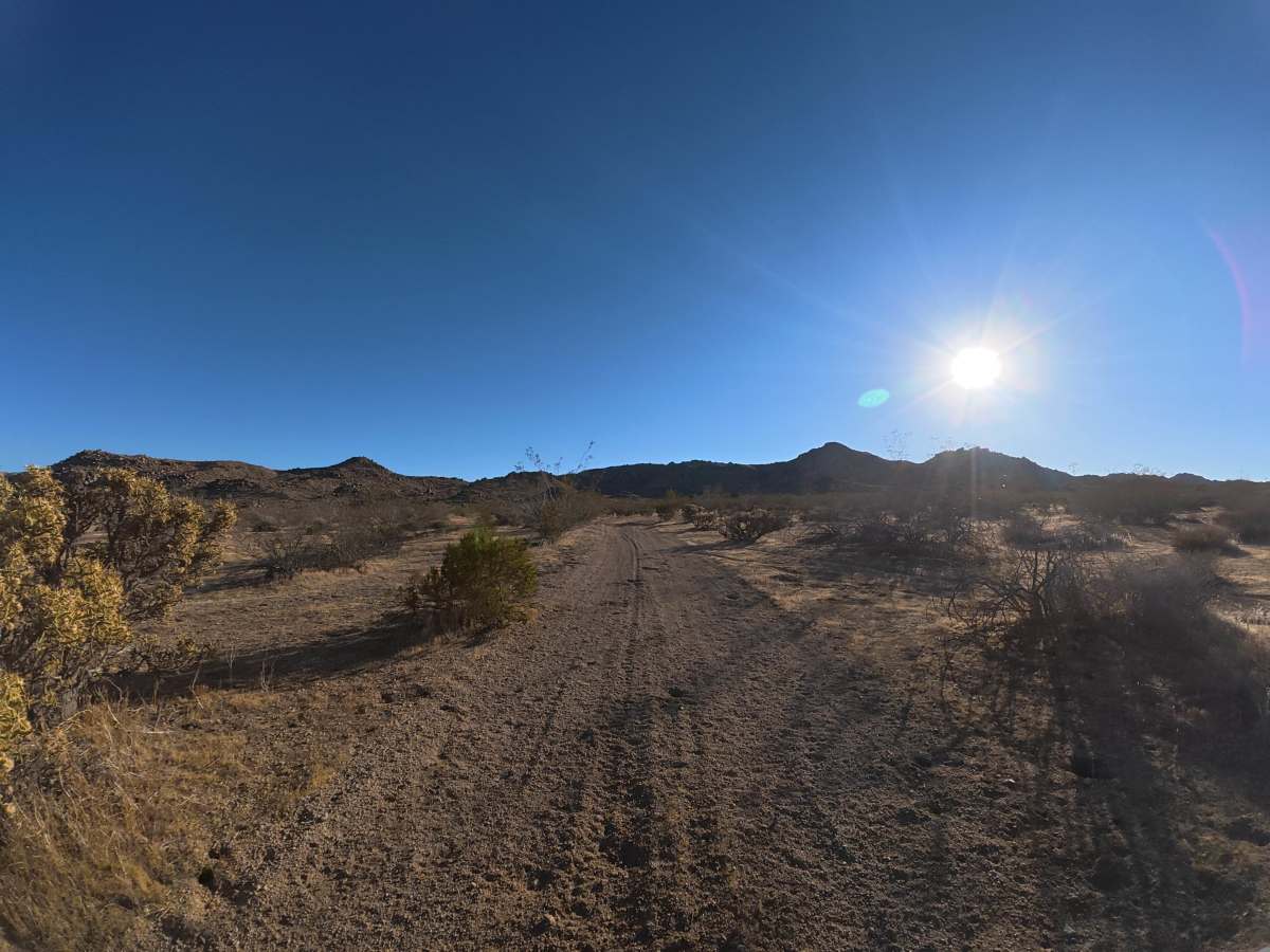 BLM SV2614 photo 6