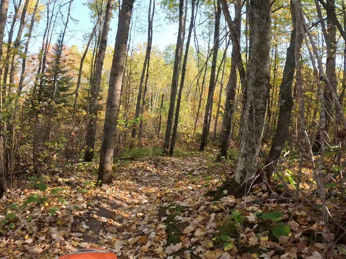Tamarack Straight Arrow Blue Trail  photo 4