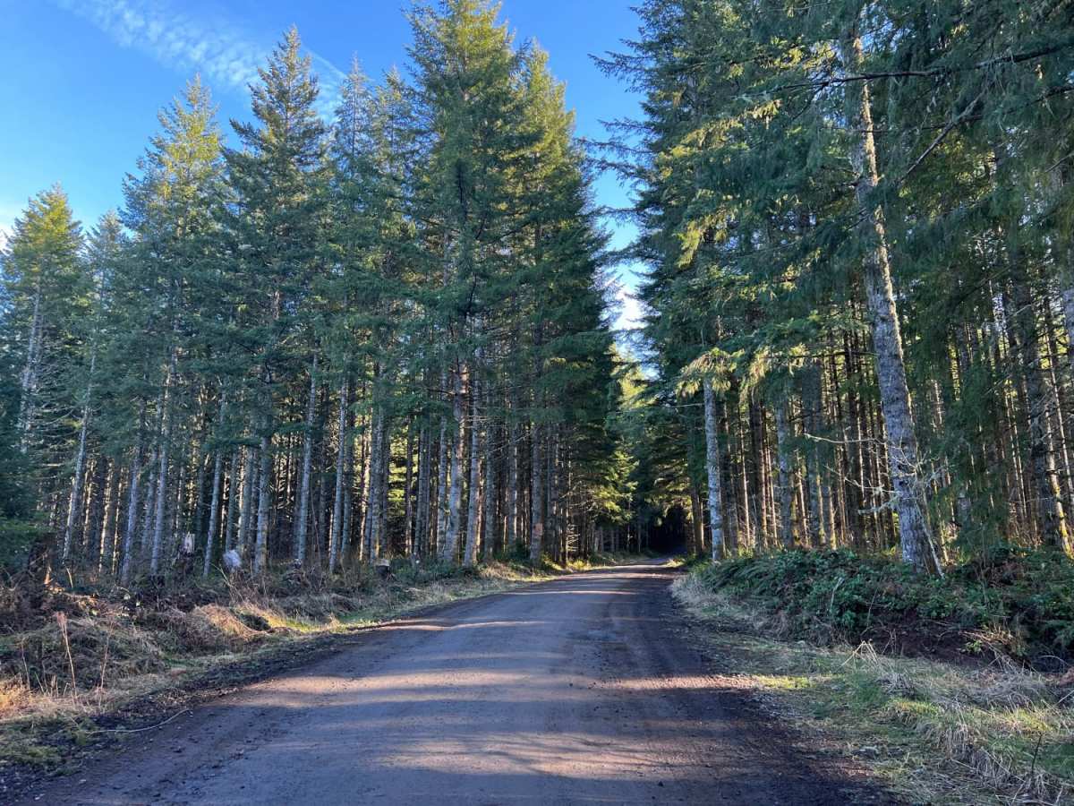 Green Mountain Road photo 3