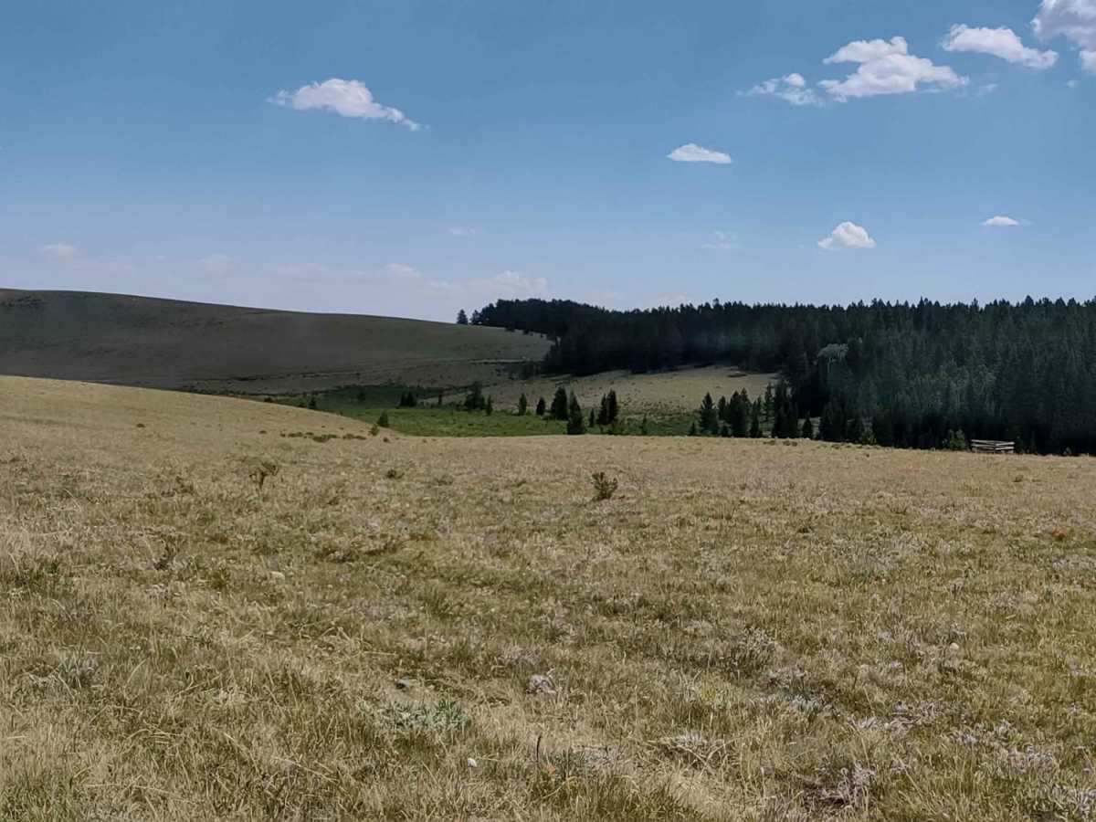 Kingsbury/Todd Cabin to Hazelton Road photo 6