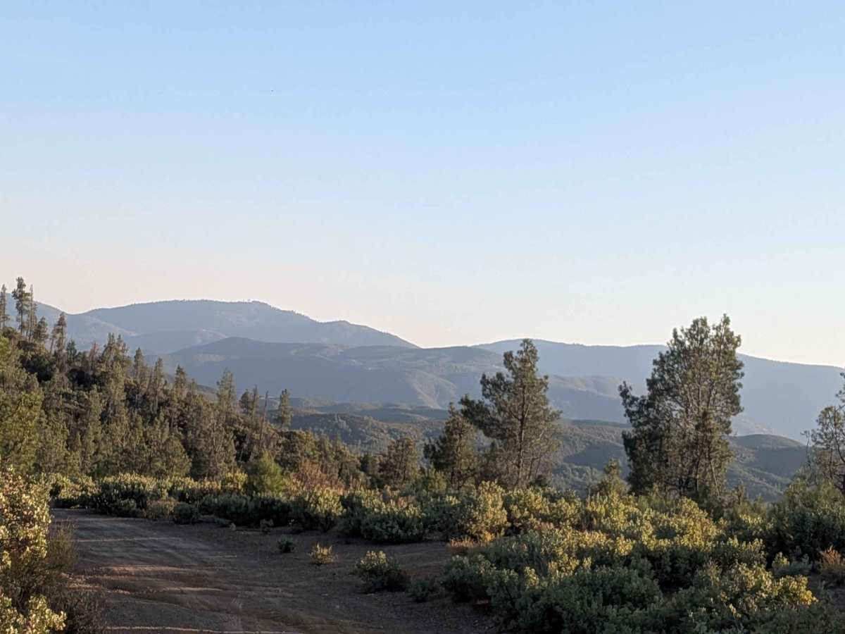 Ponderosa Way North - FS 3S02 photo 6
