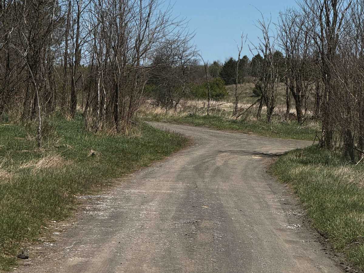 Logway Run Trail photo 6