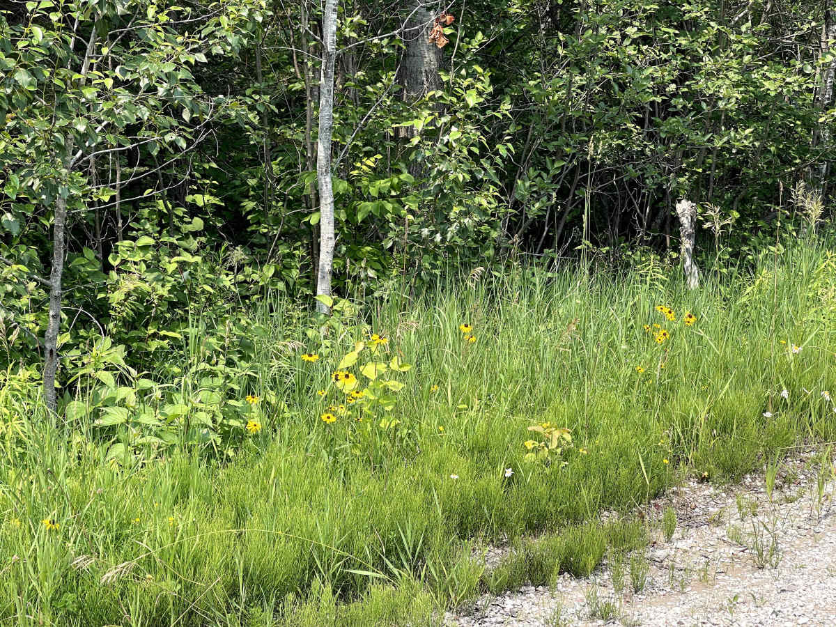 Route 3104 photo 6