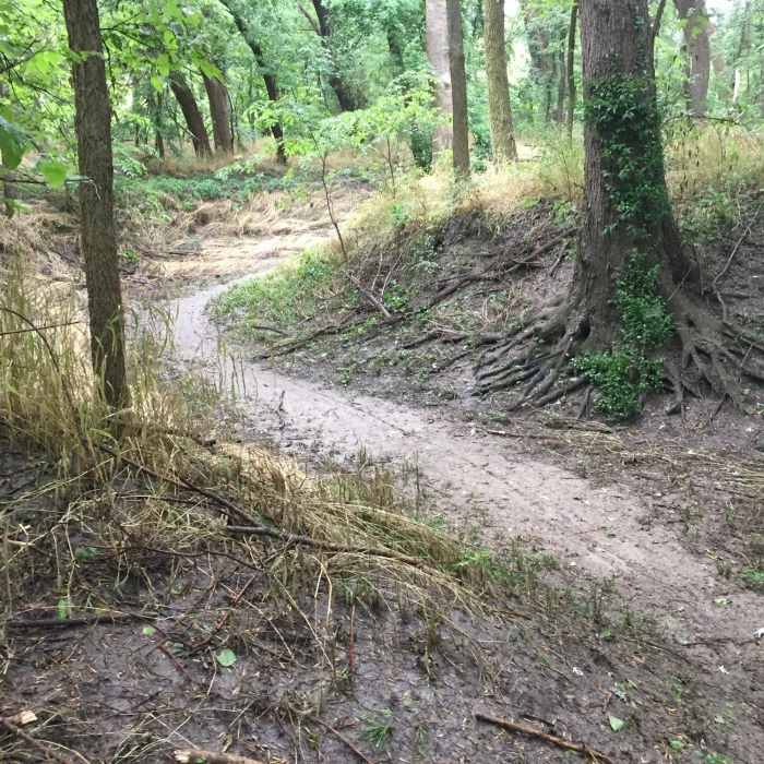 Near Knebler Pond Loop