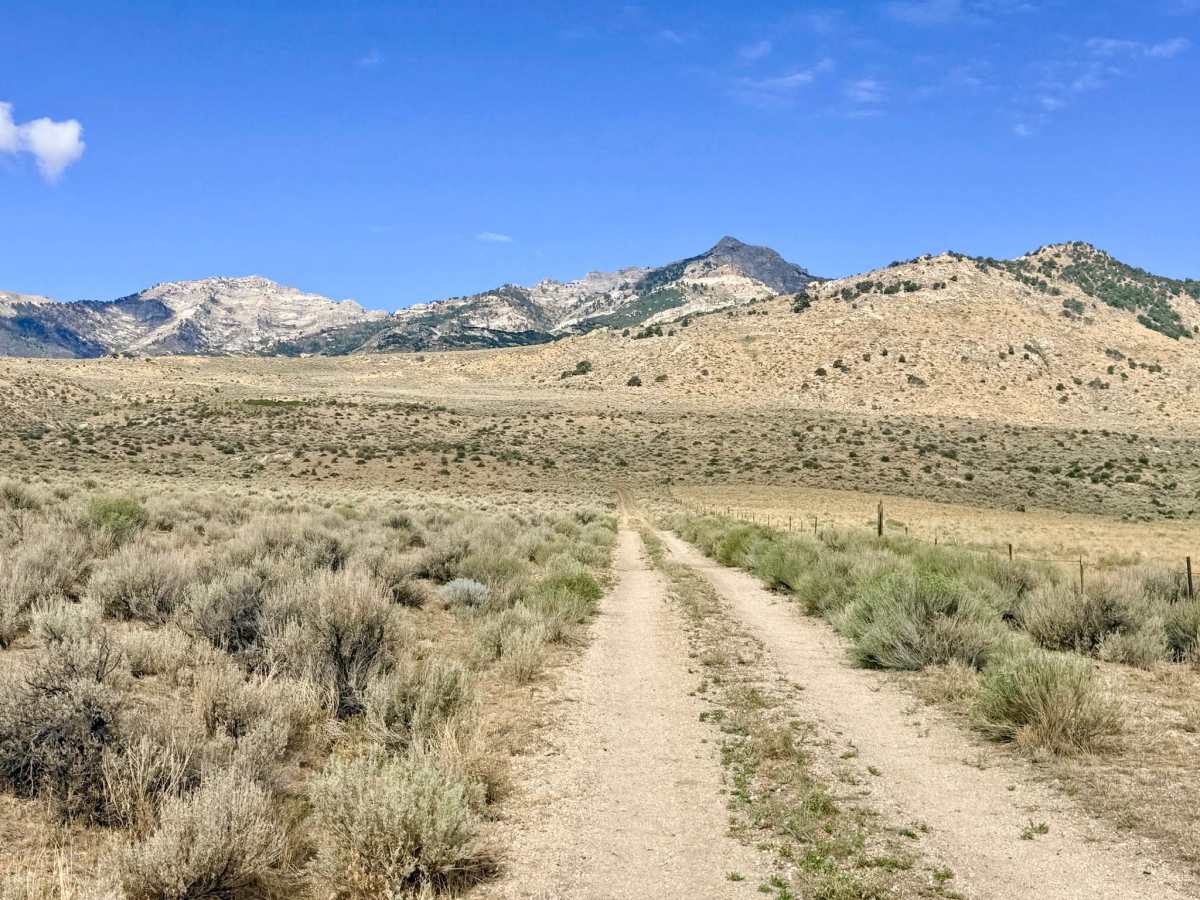 Lutts Creek - FS 57149 trail photo