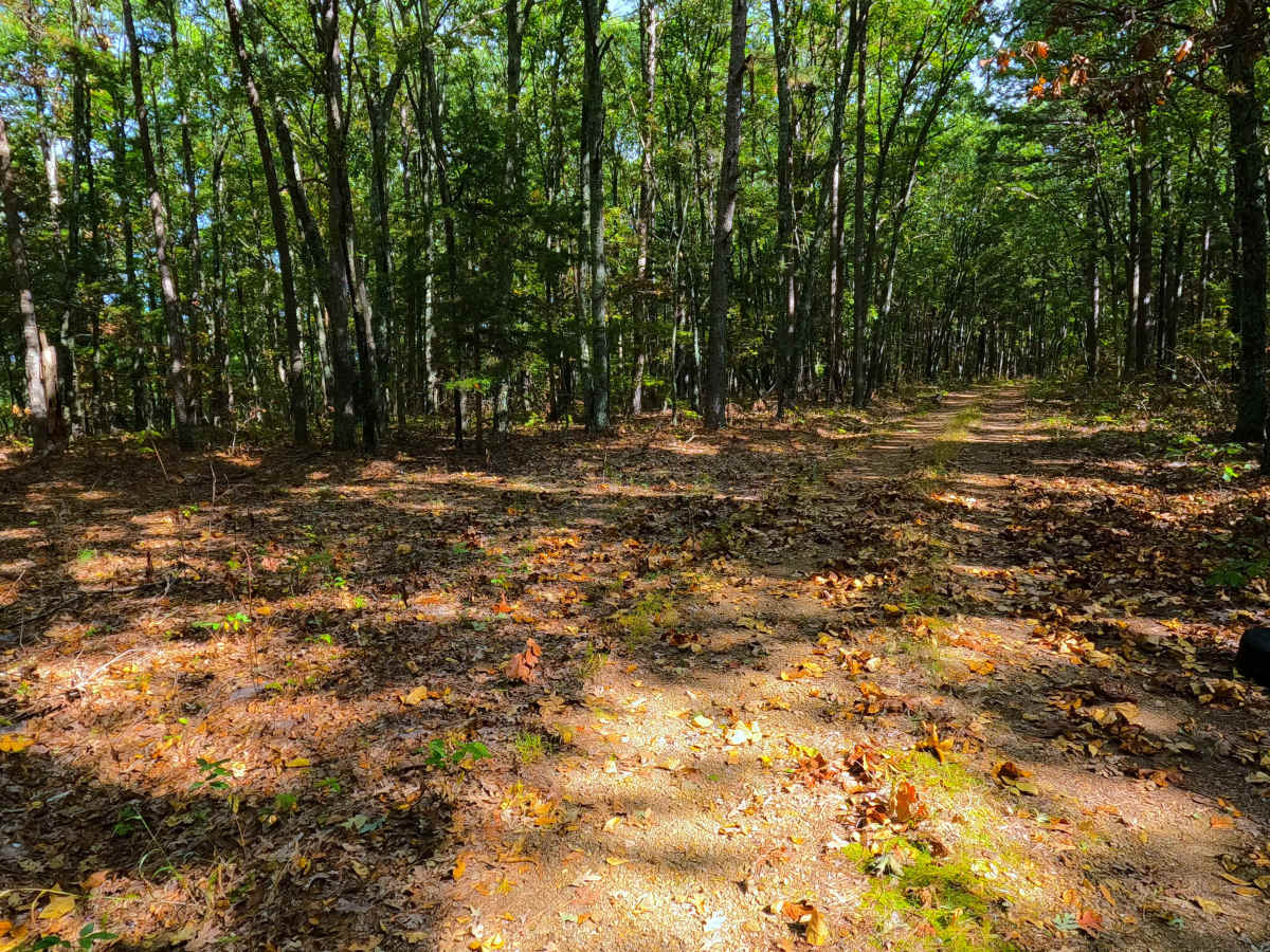 Coon Hollow - FS 2482 photo 6