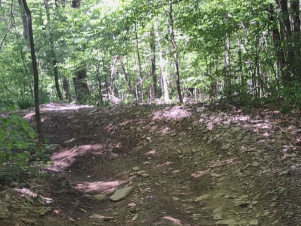 Figure 8 photo 5