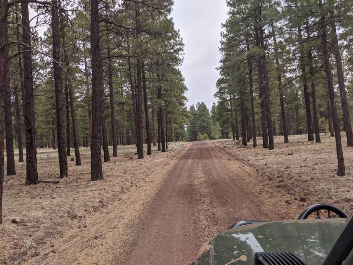 Road 786 trail photo