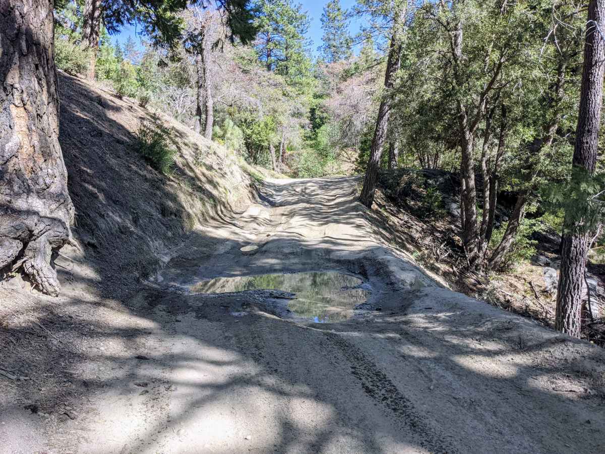 San Jacinto Ridge Trail (FS 5S09) photo 4
