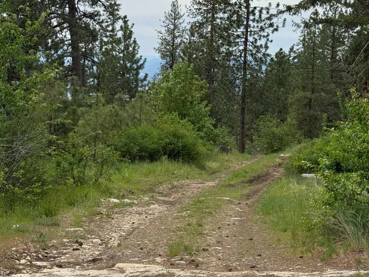DNR Road E363717 photo 2