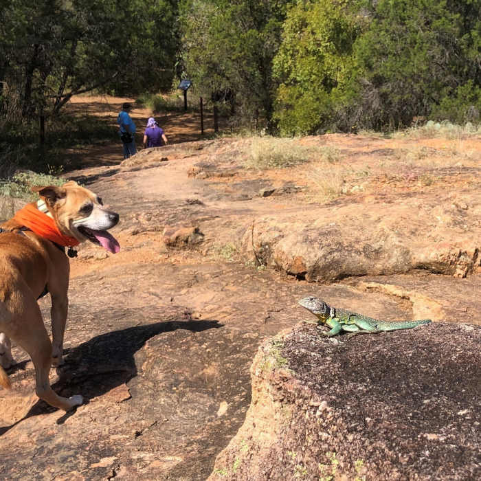 Near Devils Waterhole Nature Trail