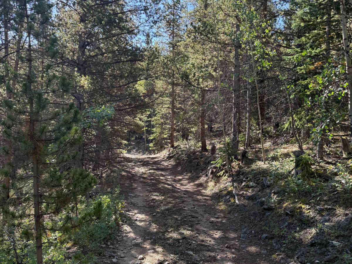 Devils Canyon Spur - FS 2461B photo 4
