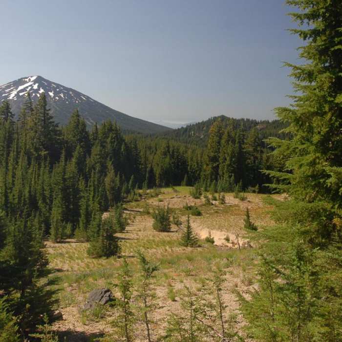 Near Broken Top Crater Hike