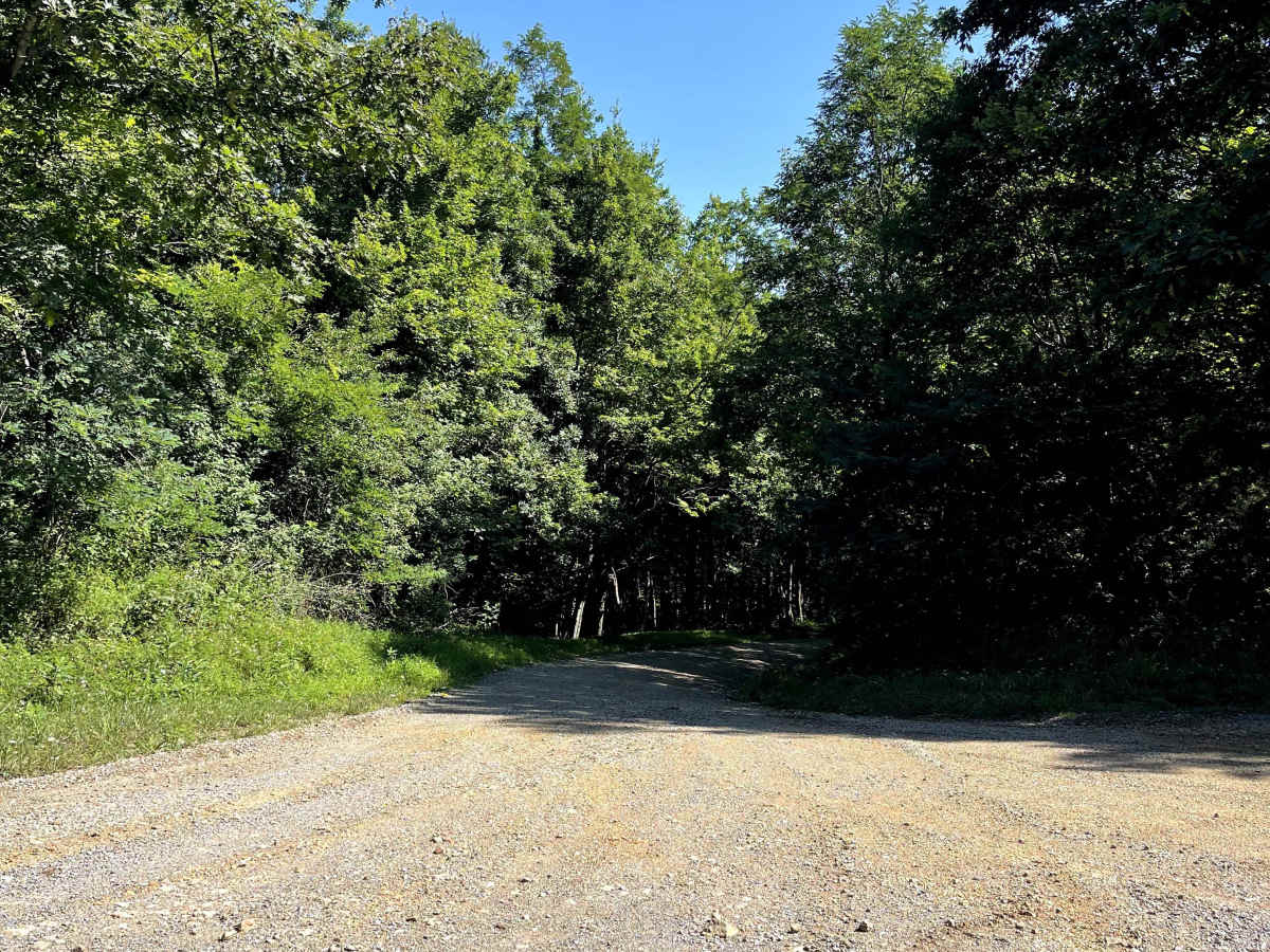 Hale Lake Road photo 6