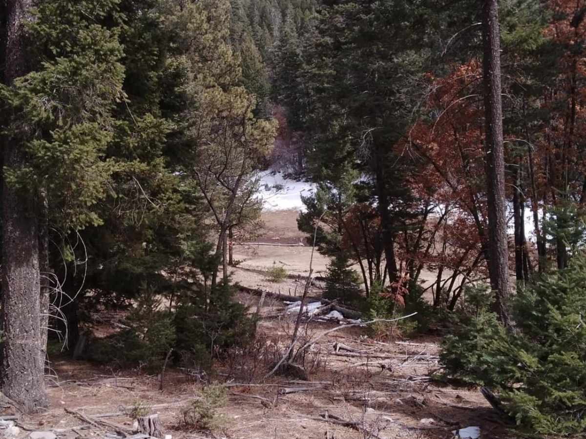 Bailey Canyon photo 3