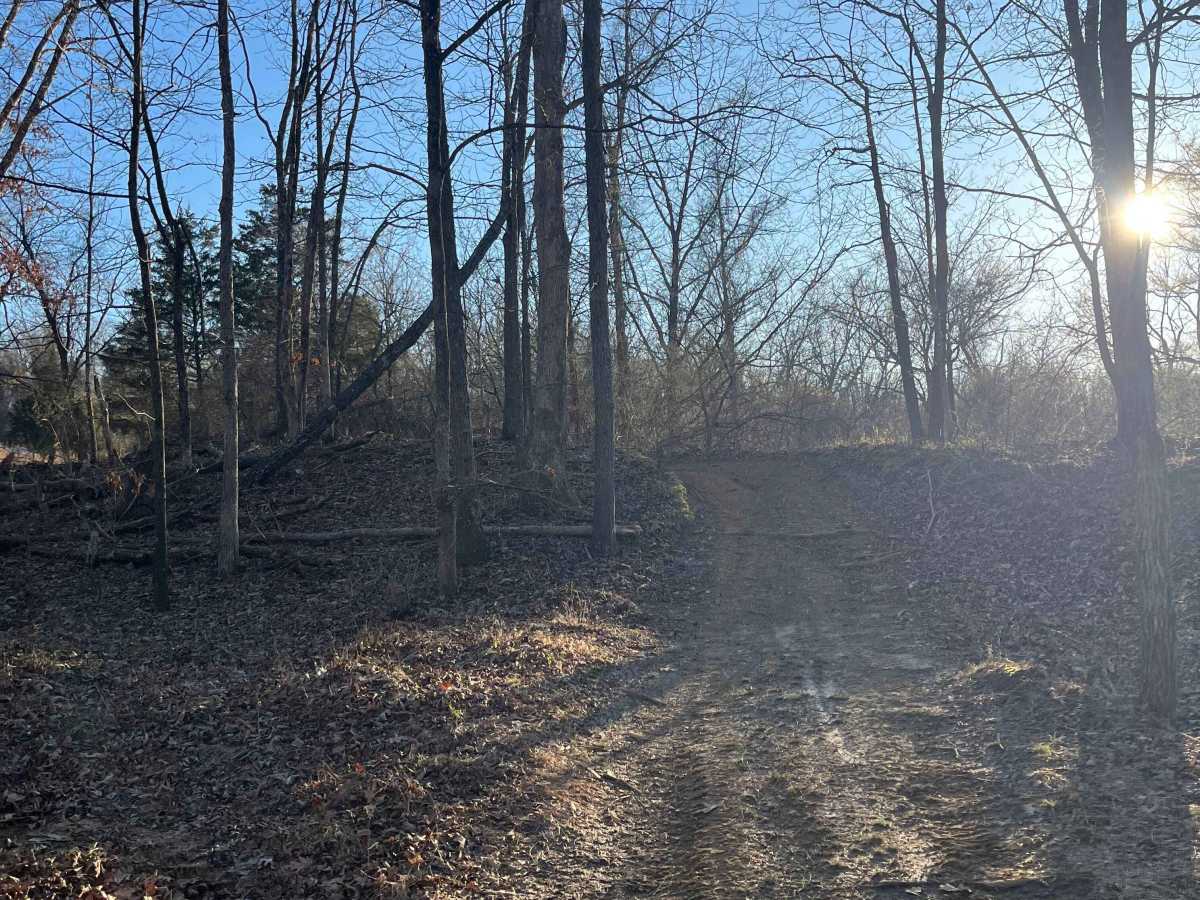 Overlook Trail photo 5