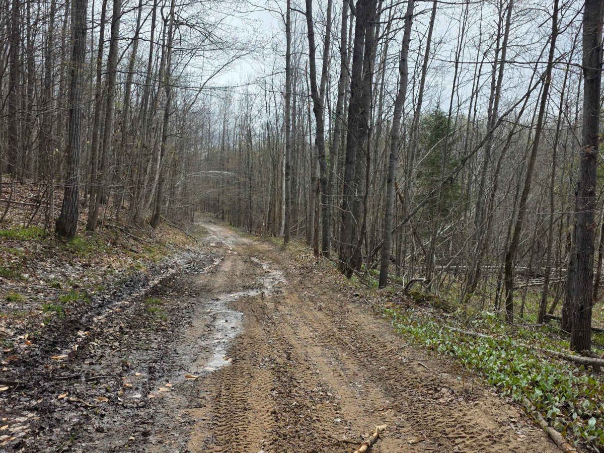 Gillette Road  photo 4