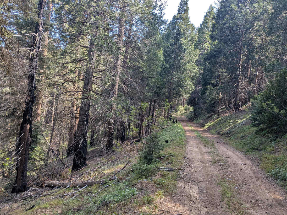 Rancheria Spur - FS 25S15C photo 2