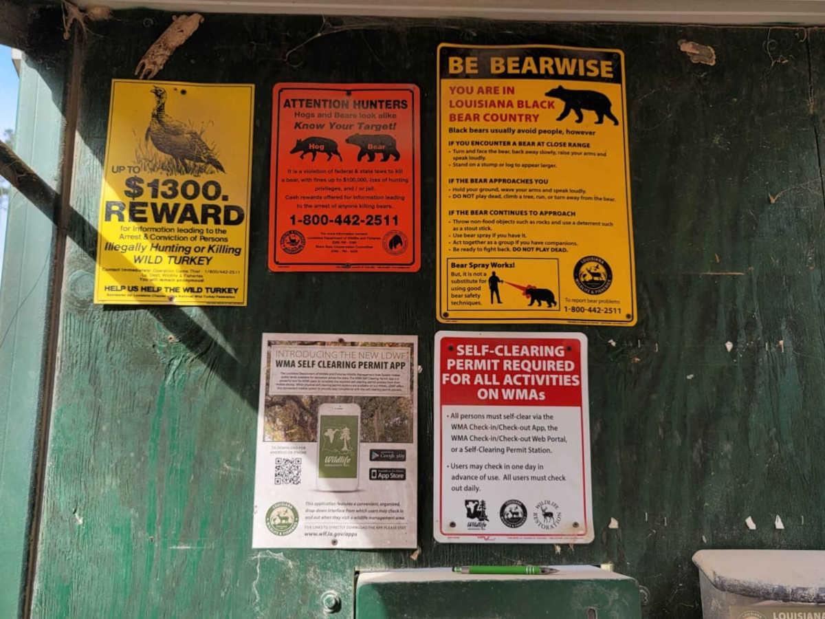 Enter Bodcau Wildlife Management Area photo 4