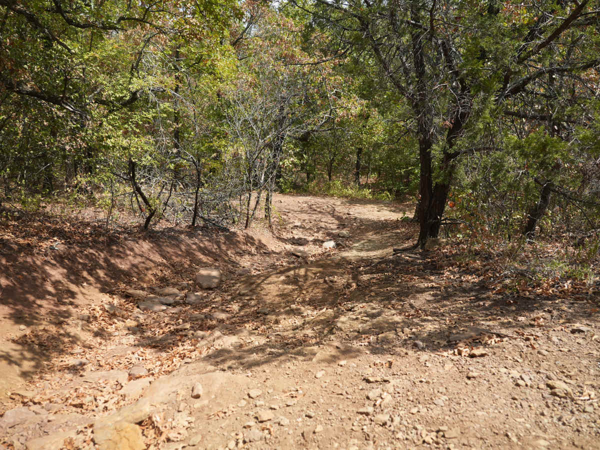 Blue 59 photo 6