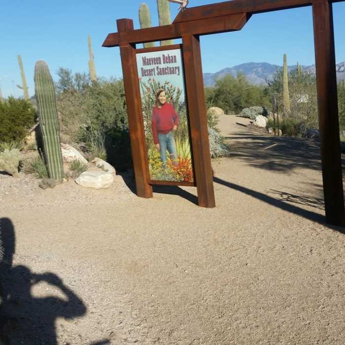 Near Arthur Pack Loop