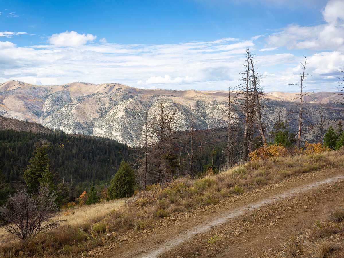 Long Ridge - FS 10148 photo 3