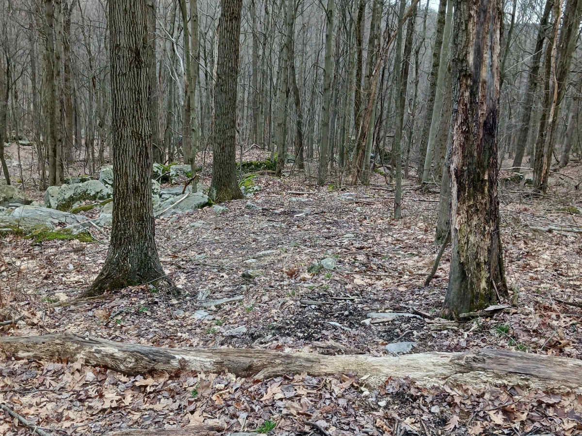 OHV 63 - Rock Run Recreation Area photo 3