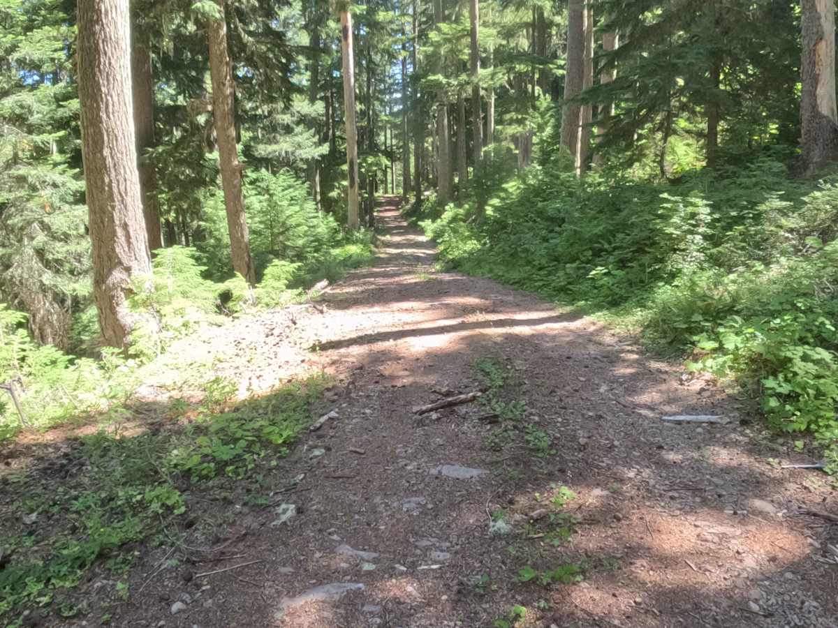 Crescent Creek Road - FS 2067510  photo 4