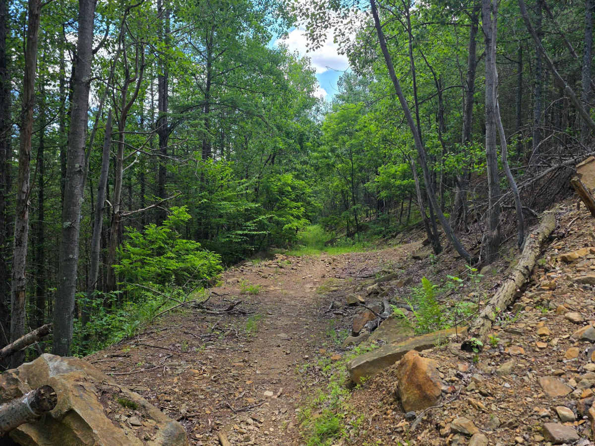 Single Track AB photo 2