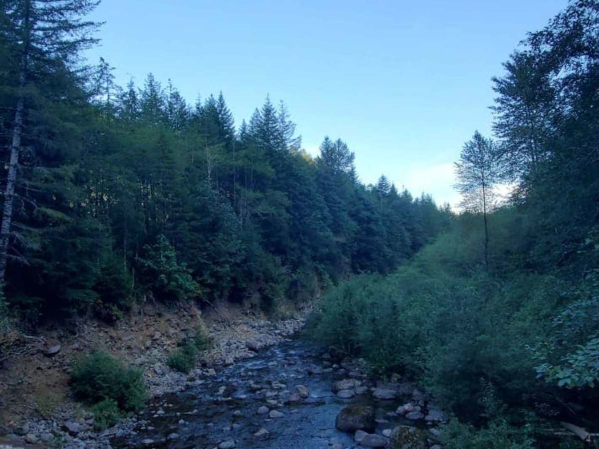 River Road photo 4