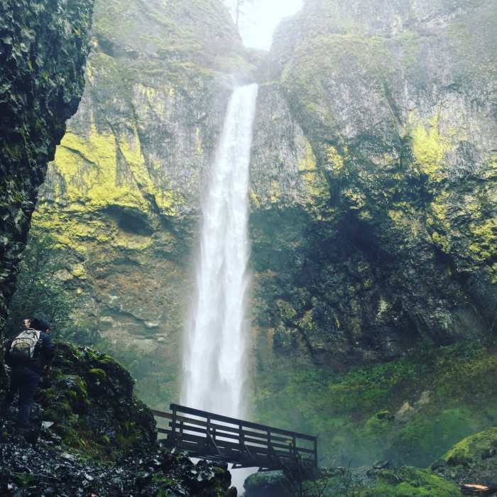 Elowah Falls. Near Elowah Falls