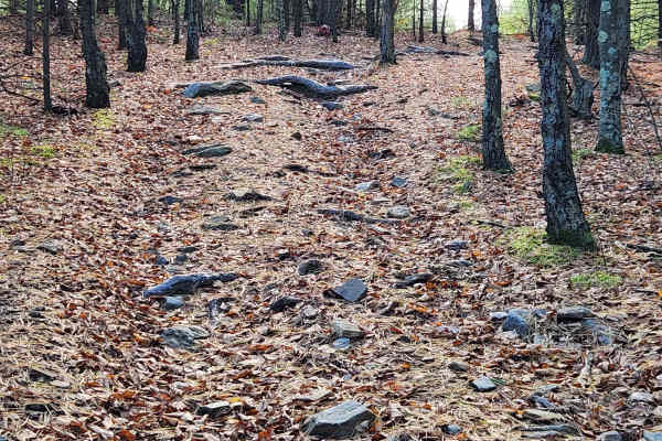 OHV 4 - Rock Run Recreation Area