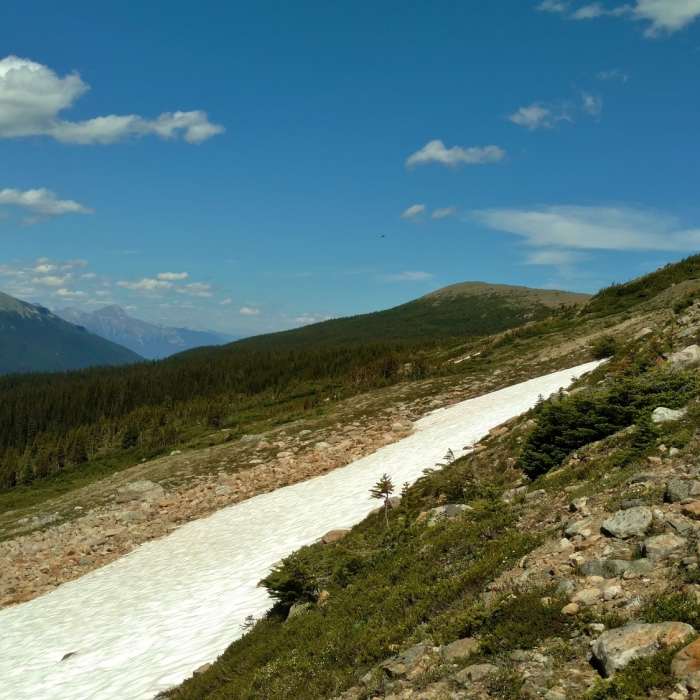 Near Mount Edith Cavell Tour