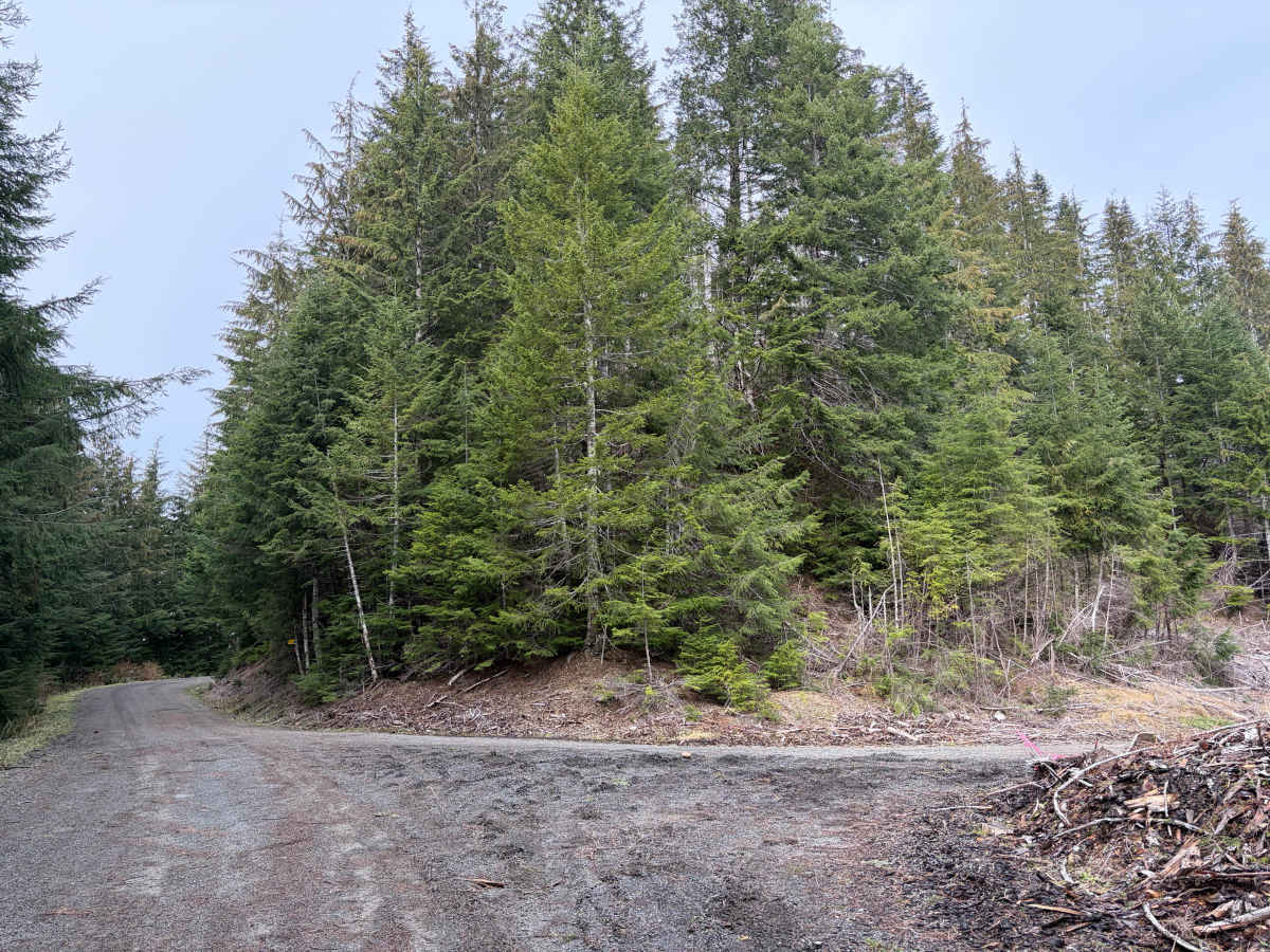Prairie Creek - FS 2190 photo 6