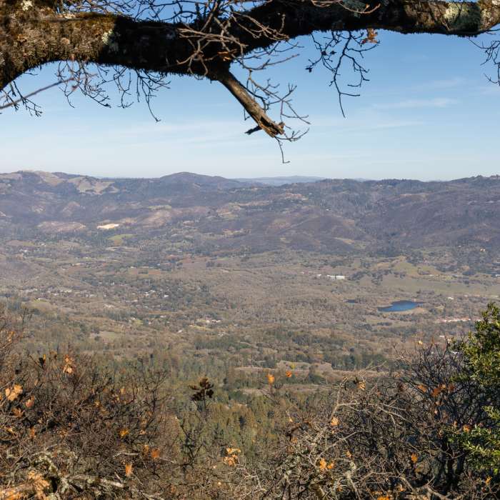Eldrige from East Slope Sonoma Mountain Ridge Trail. Near Bay Area Ridge Trail: Sonoma Ridge Trail