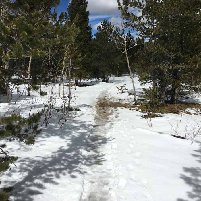 Near Horseshoe Trail Alternate