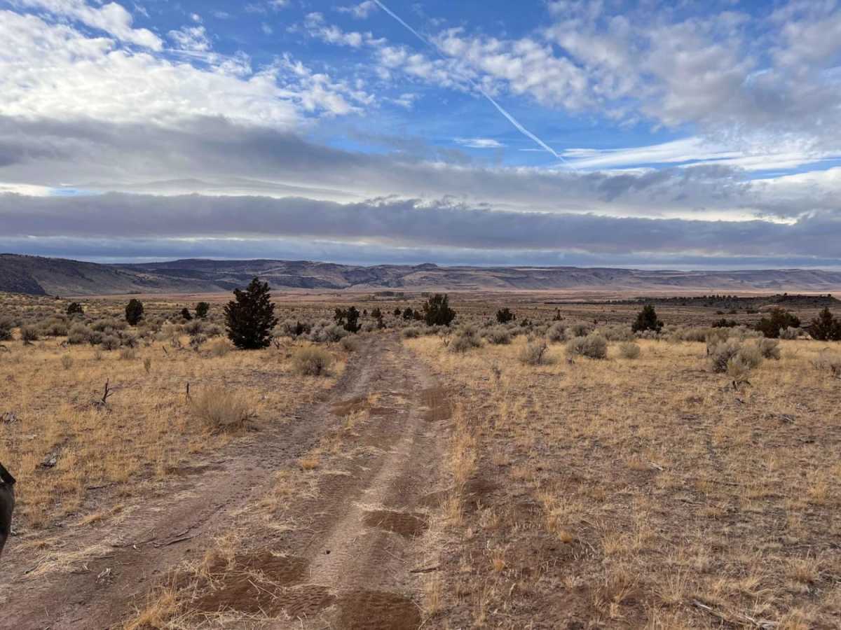 East Fish Creek Road photo 5