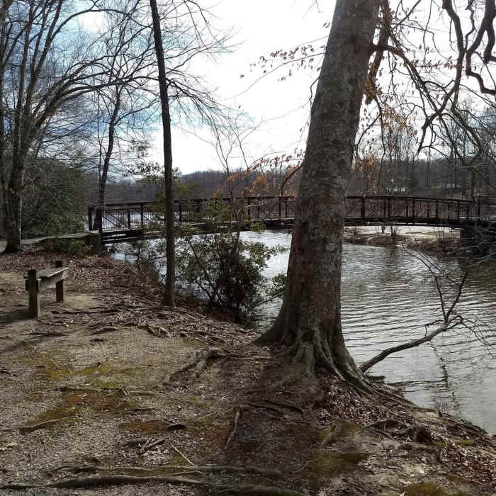Forest Exploration Trail Near Fendley Station Loop A