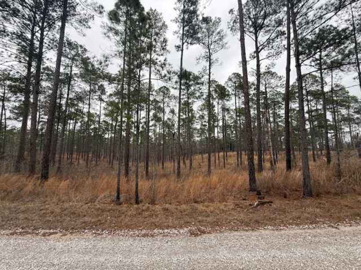 Woodward Branch photo 6