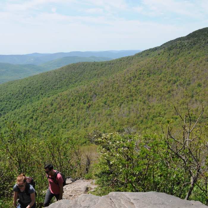 Near Catskills Black Dome and Blackhead Loop