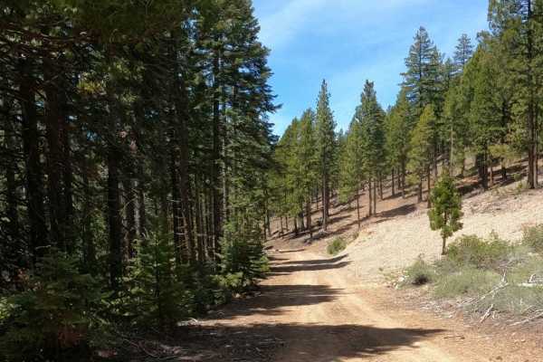 Bonta Creek - NF23N33