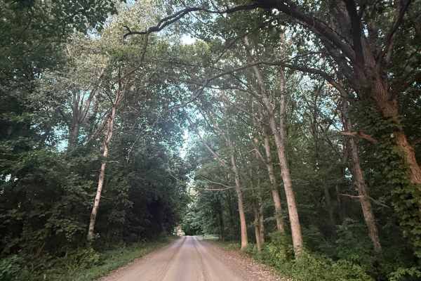 Brighton Trail
