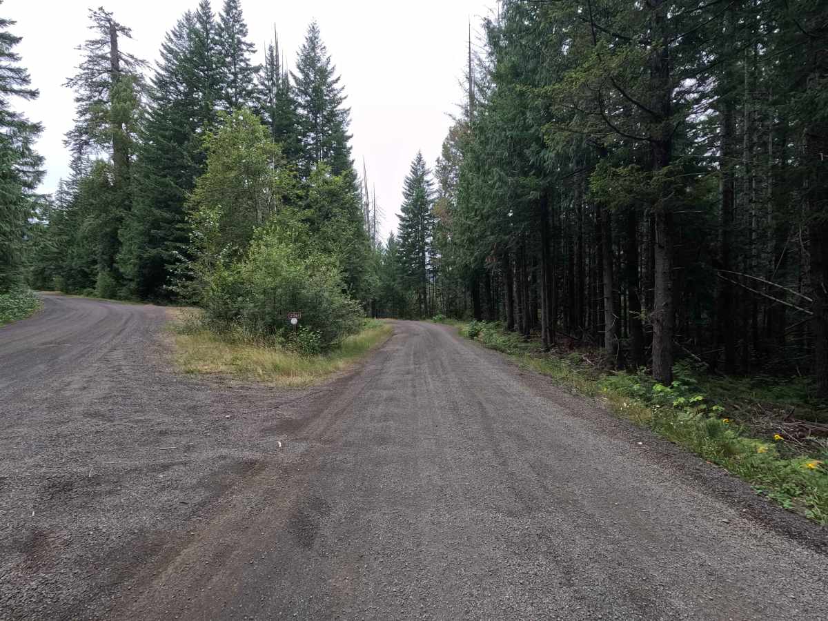 Church Creek Trailhead - FS 2361 trail photo