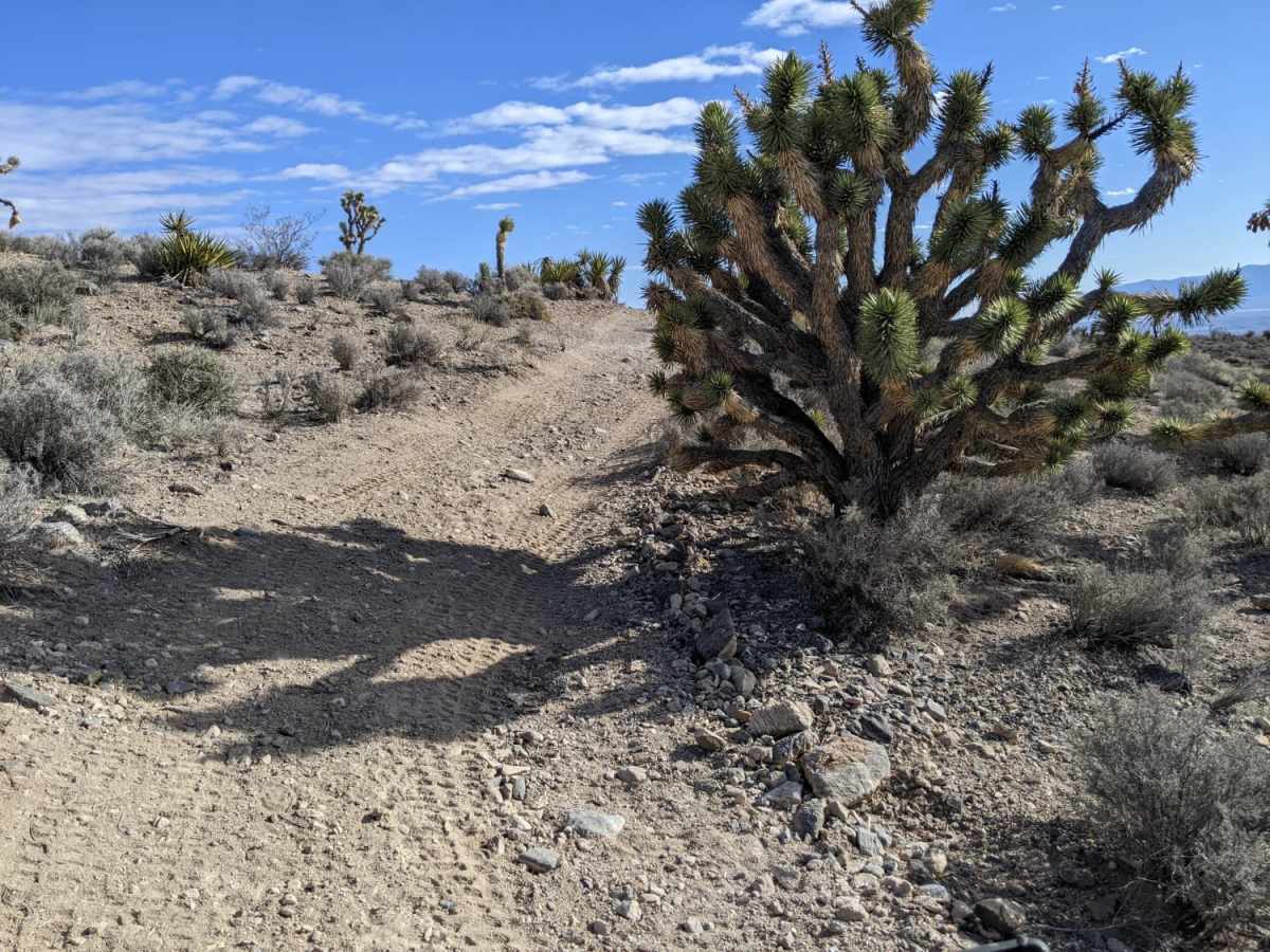 Horse Springs - Sand Wash Cut Across trail photo